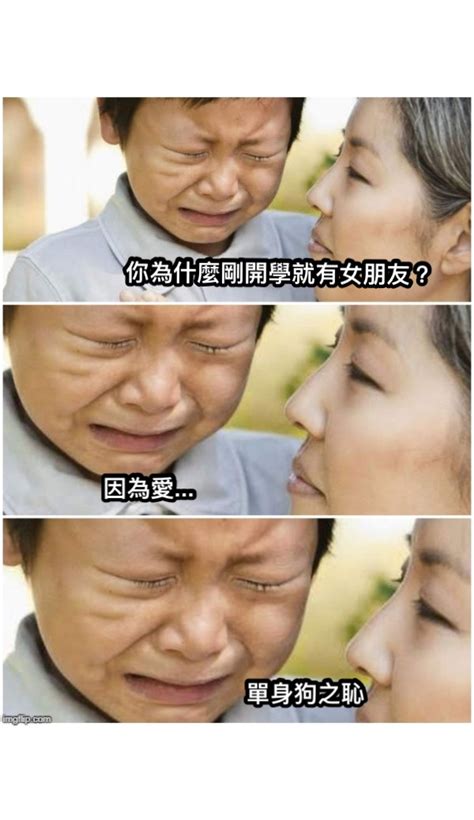 單身戀愛梗圖